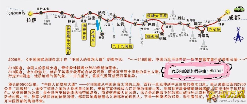 丁丁.jpg